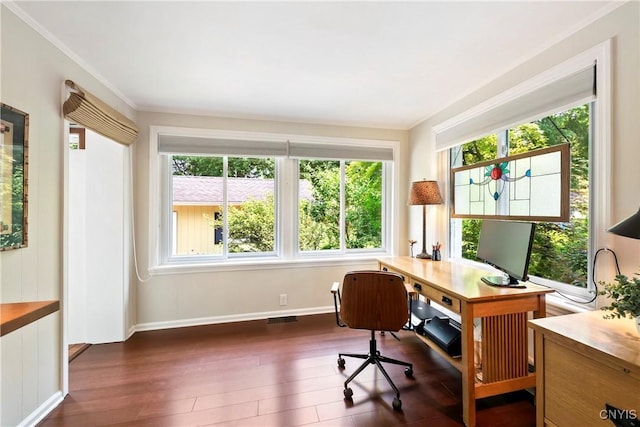 6 Orchard Rd, Skaneateles, NY 13152 - office space featuring plenty of natural light, dark wood-style floors, and crown molding