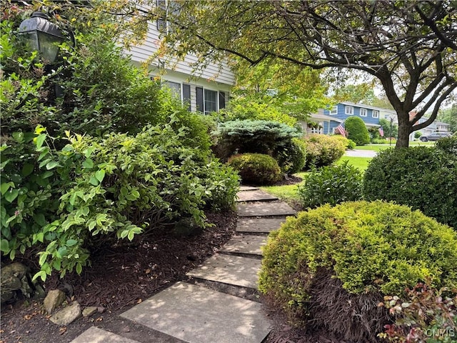 230 Thornton Cir S, Camillus, NY 13031 - view of yard