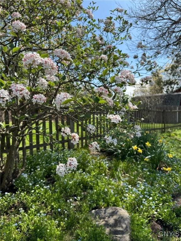 230 Thornton Cir S, Camillus, NY 13031 - view of yard