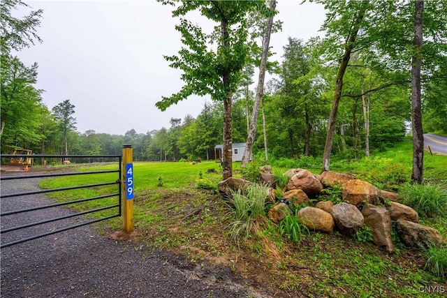 459 Dairy Hill Rd, Salisbury, NY 13365 - photo 3