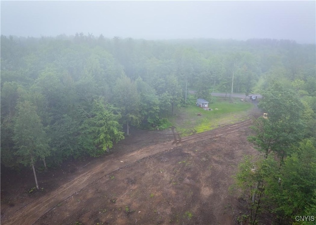 459 Dairy Hill Rd, Salisbury, NY 13365 - photo 8