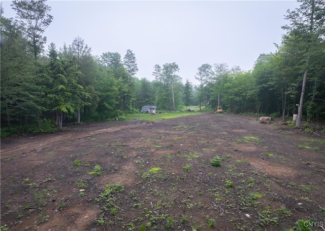 459 Dairy Hill Rd, Salisbury, NY 13365 - photo 10