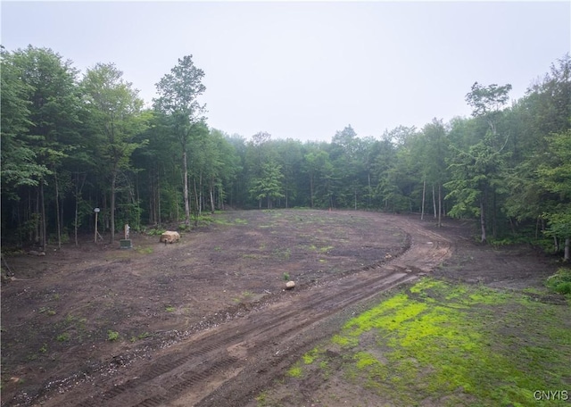 459 Dairy Hill Rd, Salisbury, NY 13365 - photo 11
