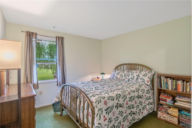 8273 Larkspur Dr, Clay, NY 13027 - bedroom with carpet floors and baseboards