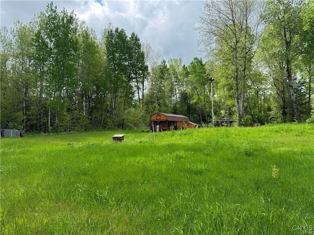 41856 County Route 41st Rd, Wilna, NY 13665 - view of yard featuring a forest view