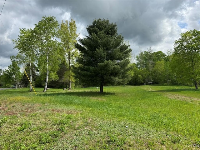 41856 County Route 41st Rd, Wilna, NY 13665 - view of yard