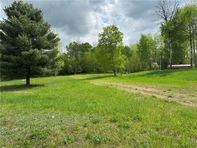 41856 County Route 41st Rd, Wilna, NY 13665 - view of yard