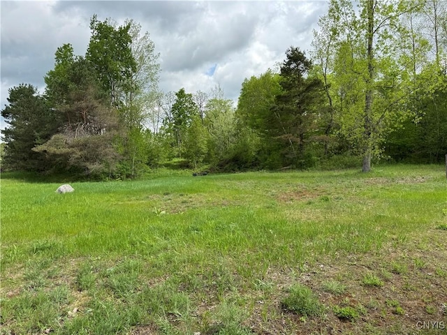 41856 County Route 41st Rd, Wilna, NY 13665 - view of yard