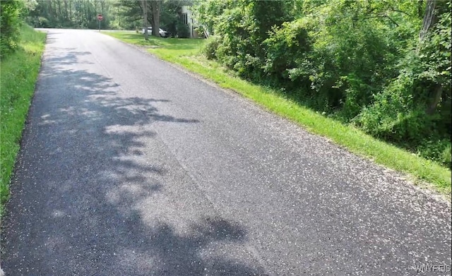 0 Drew Rd, Ithaca-Town, NY 14850 - photo 2