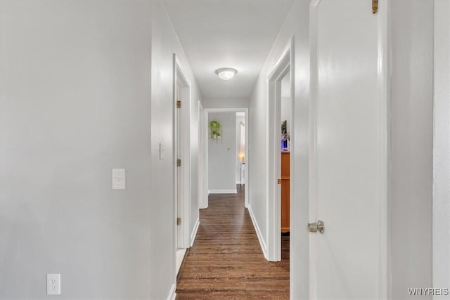 84 Kurtz Ave, Lancaster, NY 14086 - corridor with dark wood finished floors and baseboards
