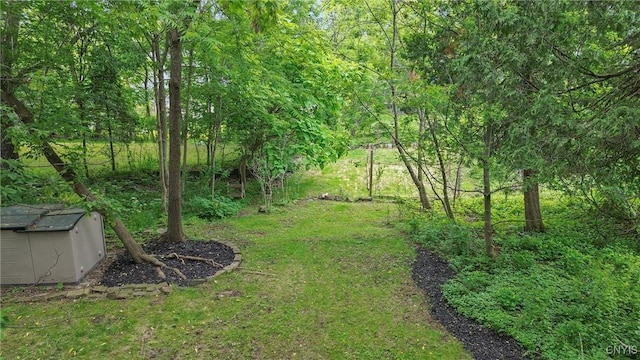 135 Strong Ave, Syracuse, NY 13210 - view of yard featuring a forest view