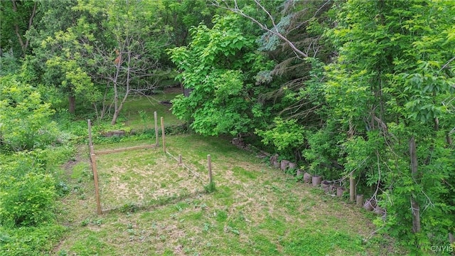 135 Strong Ave, Syracuse, NY 13210 - view of yard