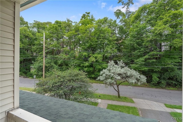 135 Strong Ave, Syracuse, NY 13210 - view of yard