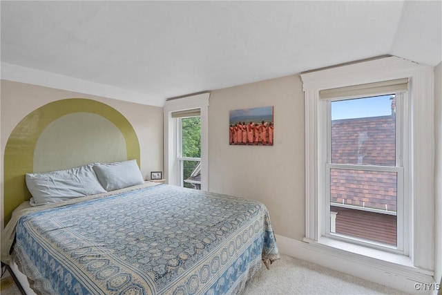 135 Strong Ave, Syracuse, NY 13210 - bedroom with carpet flooring, multiple windows, and lofted ceiling