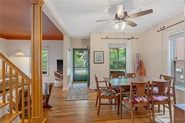 135 Strong Ave, Syracuse, NY 13210 - dining room featuring light wood-style flooring, healthy amount of natural light, ornamental molding, and ceiling fan