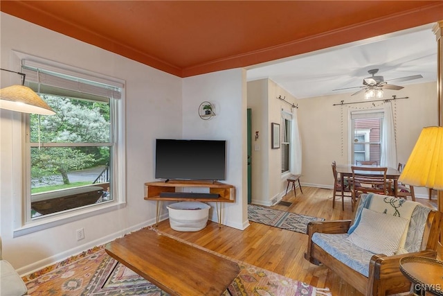 135 Strong Ave, Syracuse, NY 13210 - living area with plenty of natural light, wood finished floors, and a ceiling fan