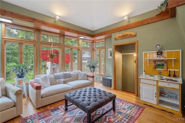 135 Strong Ave, Syracuse, NY 13210 - living room featuring healthy amount of natural light and light wood finished floors