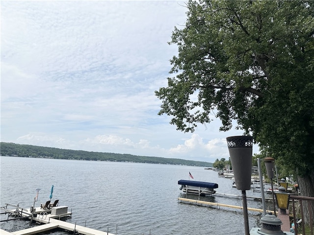 5968 E Lake Rd, Conesus, NY 14435 - dock with a water view