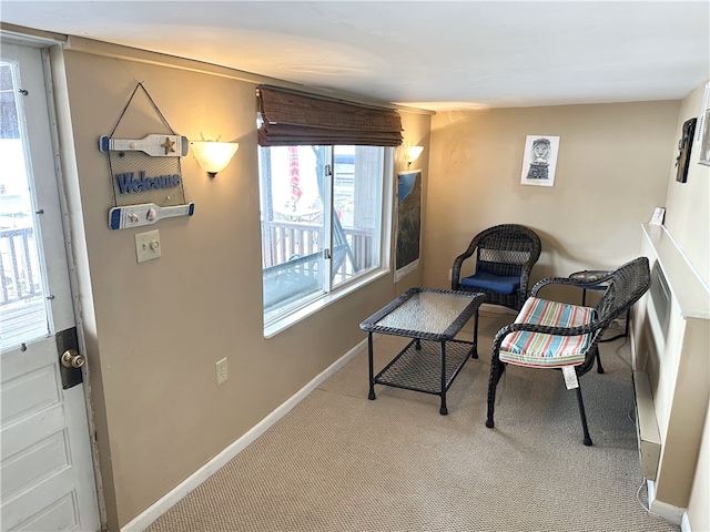 5968 E Lake Rd, Conesus, NY 14435 - sitting room featuring carpet and baseboards