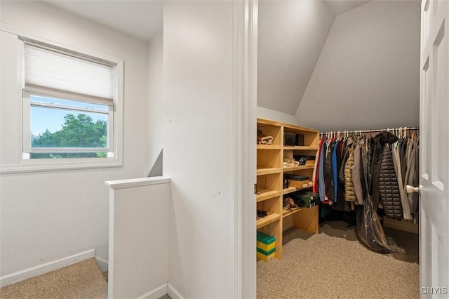 606 Tompkins St, Syracuse, NY 13204 - walk in closet with carpet floors and vaulted ceiling