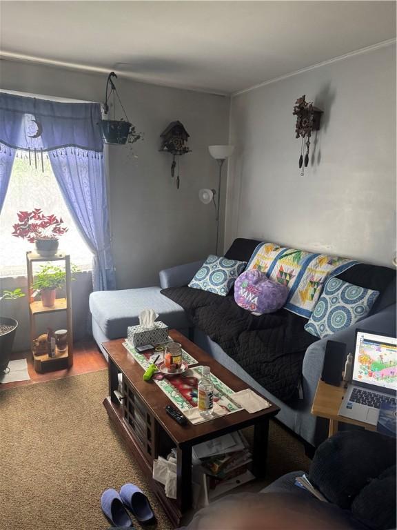 204 Owego St, Montour, NY 14865 - carpeted living area featuring crown molding