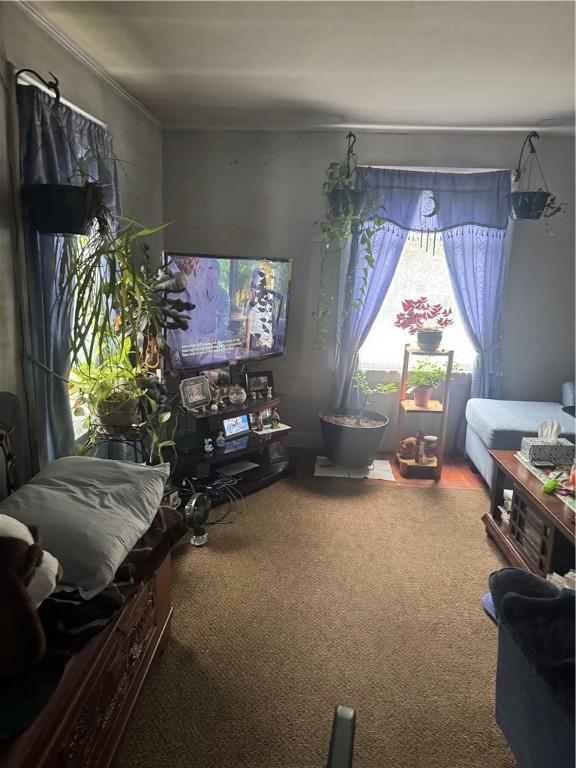 204 Owego St, Montour, NY 14865 - living room with carpet floors and ornamental molding
