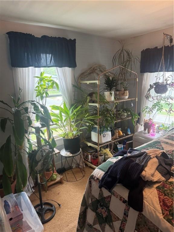 204 Owego St, Montour, NY 14865 - bedroom featuring carpet floors