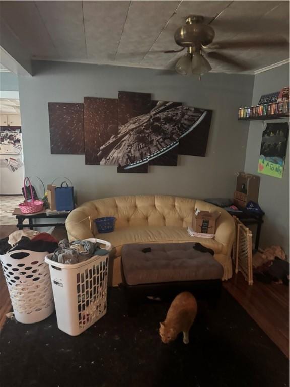 204 Owego St, Montour, NY 14865 - living room featuring wood finished floors, a ceiling fan, and washer / dryer