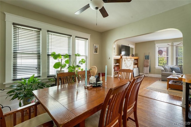 180 Lovering Ave, Buffalo, NY 14216 - dining area with arched walkways, ceiling fan, and wood finished floors
