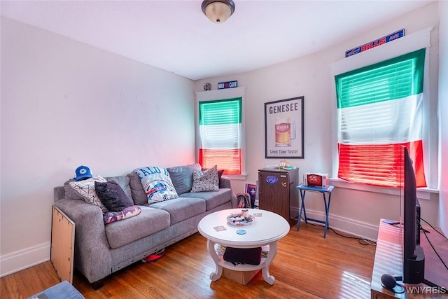 180 Lovering Ave, Buffalo, NY 14216 - living room featuring baseboards and wood finished floors