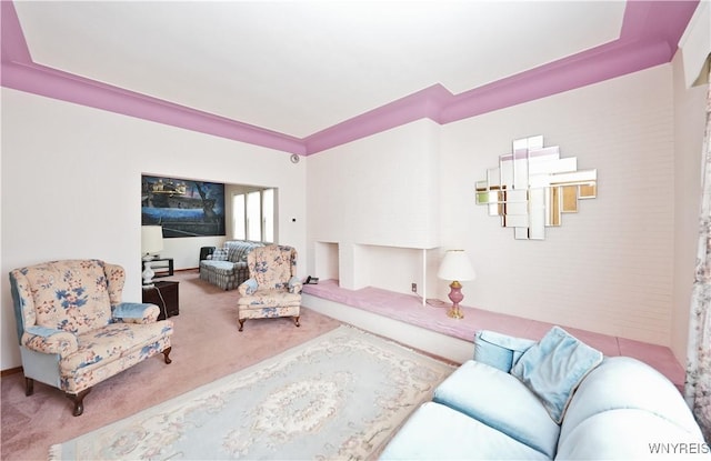 236 Weimar St, Buffalo, NY 14206 - carpeted living room featuring a raised ceiling