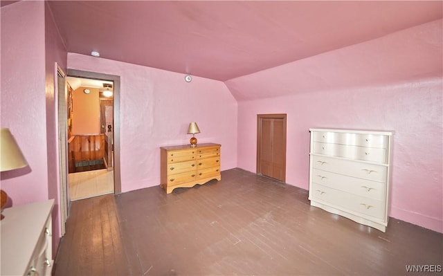 236 Weimar St, Buffalo, NY 14206 - additional living space featuring dark wood-style floors and lofted ceiling