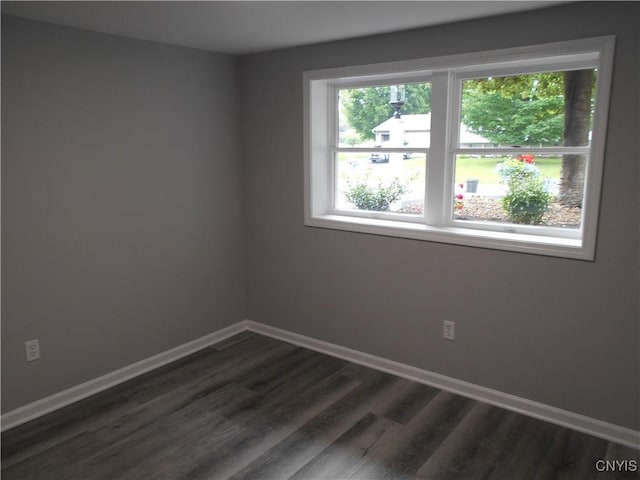 1003 Rondo Ave, Sullivan, NY 13037 - empty room with plenty of natural light and dark wood-style floors