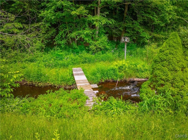 7460 State Highway 29, Oppenheim, NY 13329 - view of yard featuring a boat dock