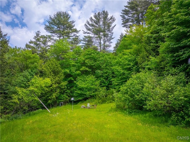 7460 State Highway 29, Oppenheim, NY 13329 - view of yard with a view of trees