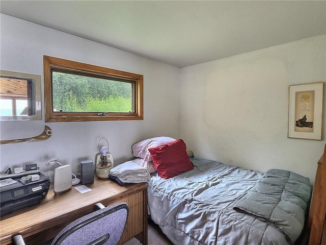 1995 Lake Rd, Ledyard, NY 13026 - view of bedroom
