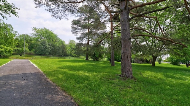 1995 Lake Rd, Ledyard, NY 13026 - view of yard