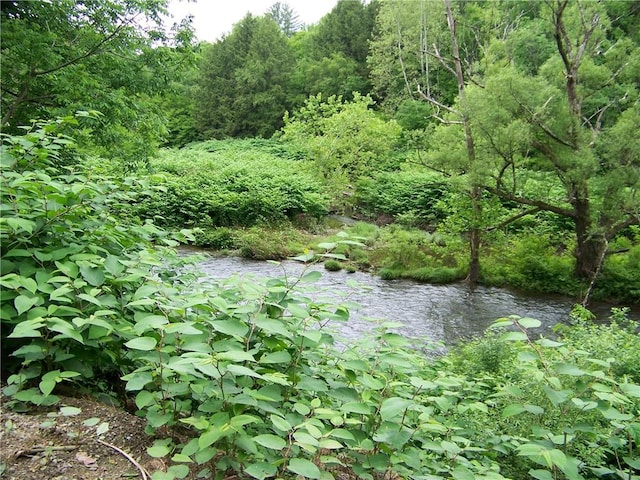 236 Covered Bridge Rd, Davenport, NY 13820 - view of wooded area