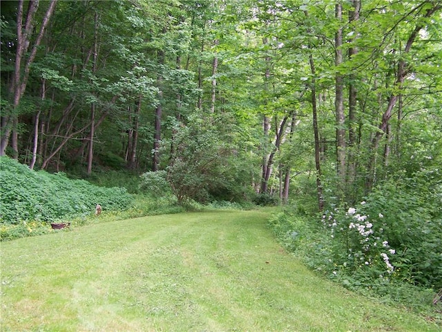 236 Covered Bridge Rd, Davenport, NY 13820 - view of grassy yard with a forest view