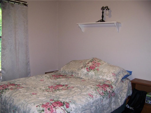 236 Covered Bridge Rd, Davenport, NY 13820 - view of bedroom