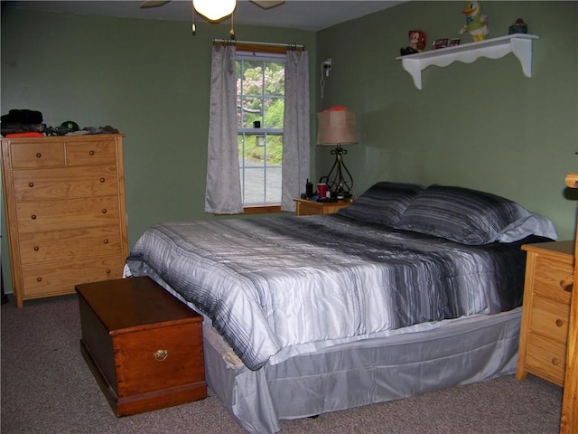 236 Covered Bridge Rd, Davenport, NY 13820 - bedroom with carpet floors and ceiling fan