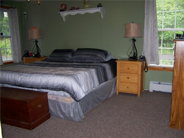 236 Covered Bridge Rd, Davenport, NY 13820 - carpeted bedroom with baseboard heating and multiple windows
