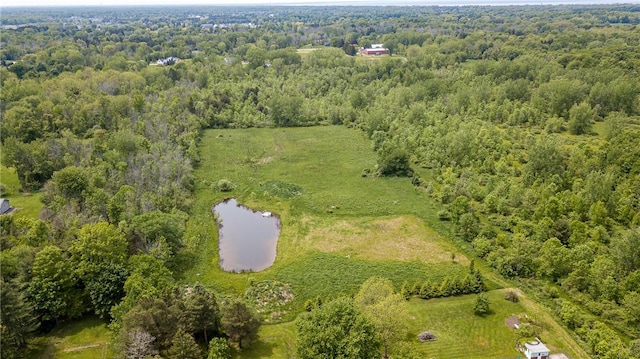 467 County Line Rd, Webster, NY 14519