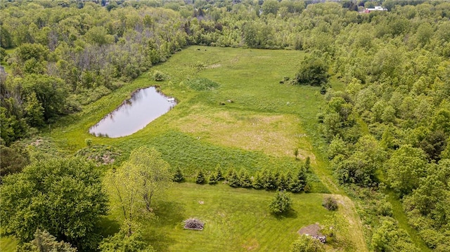 467 County Line Rd, Webster, NY 14519