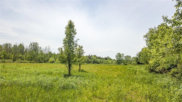 467 County Line Rd, Webster, NY 14519