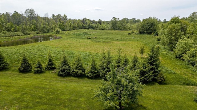 467 County Line Rd, Webster, NY 14519
