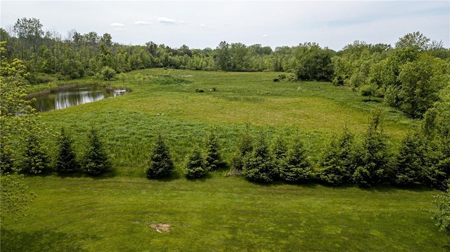467 County Line Rd, Webster, NY 14519