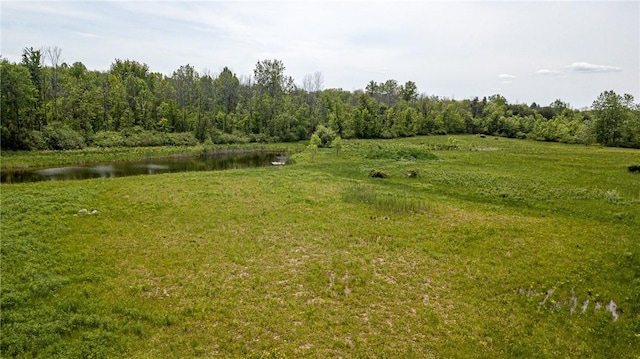 467 County Line Rd, Webster, NY 14519