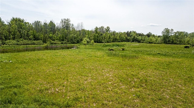 467 County Line Rd, Webster, NY 14519
