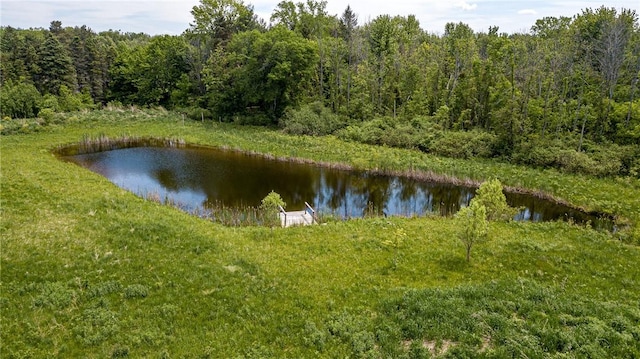 467 County Line Rd, Webster, NY 14519